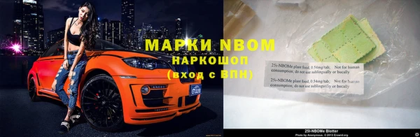шишки Белоозёрский