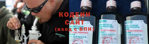 шишки Белоозёрский