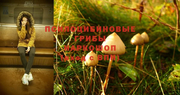 шишки Белоозёрский