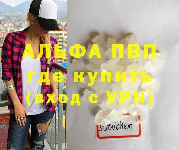 a pvp Белокуриха