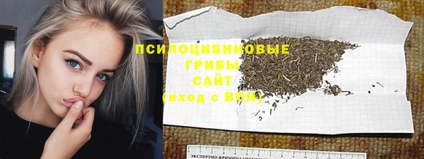 шишки Белоозёрский