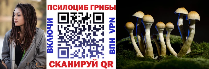 Галлюциногенные грибы ЛСД купить Суоярви