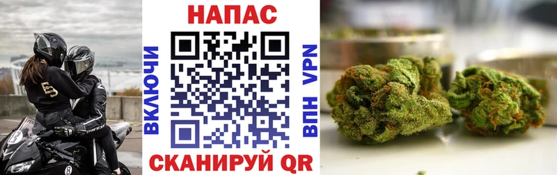 МАРИХУАНА SATIVA & INDICA мега как войти Суоярви магазин продажи наркотиков